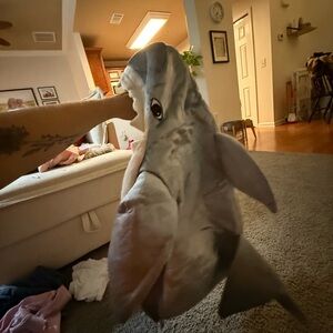 Shark costume